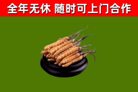 让胡路区烟酒回收冬虫夏草.jpg